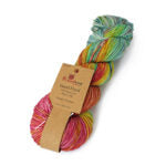 Broadway Yarns Hand Dyed Merino DK